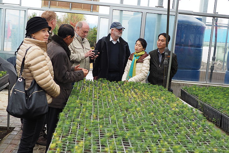 Visit to a building of the Central Tree Nursery in Pyongyang.
