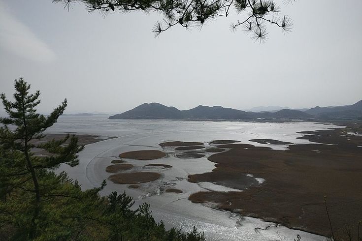 Impressionen des Wetlands in Suncheon.