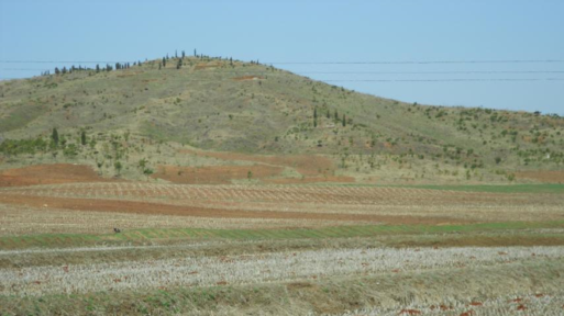 In North Korea reforestation is especially important. This picture shows the hills in Sangsori in 2012. A HSF project concerning sustainable forest management started there. 
